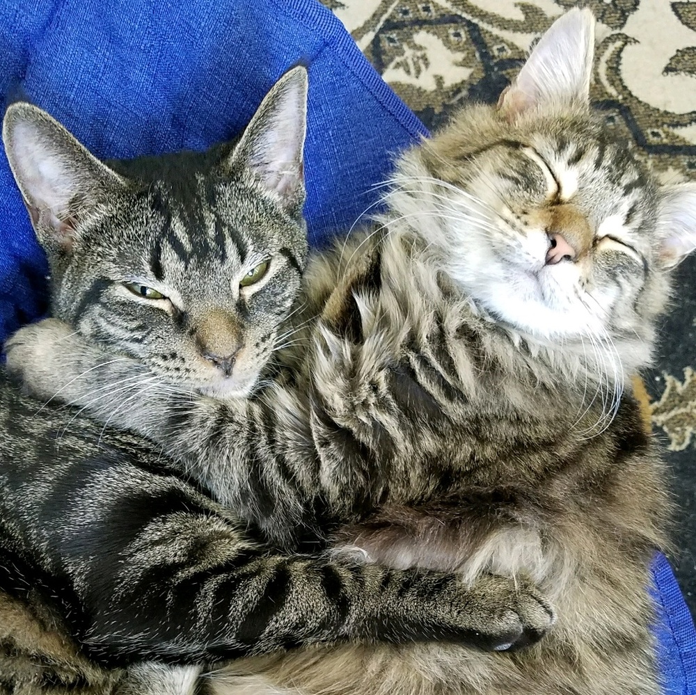 Meet your Posher, Kyla